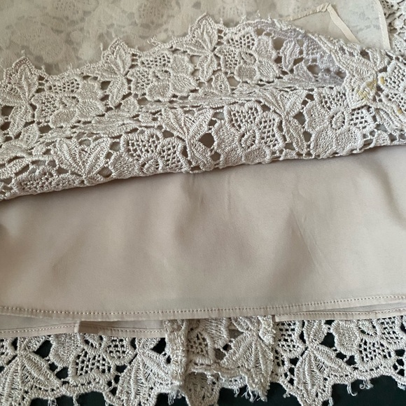 Ann Taylor Beige Knee Length Dress Lace With Partial Sheer Panel Women's Size 10 - Picture 13 of 14